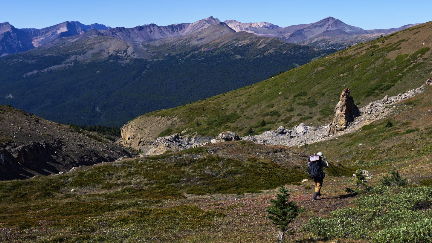 Stills: White Goat Wilderness