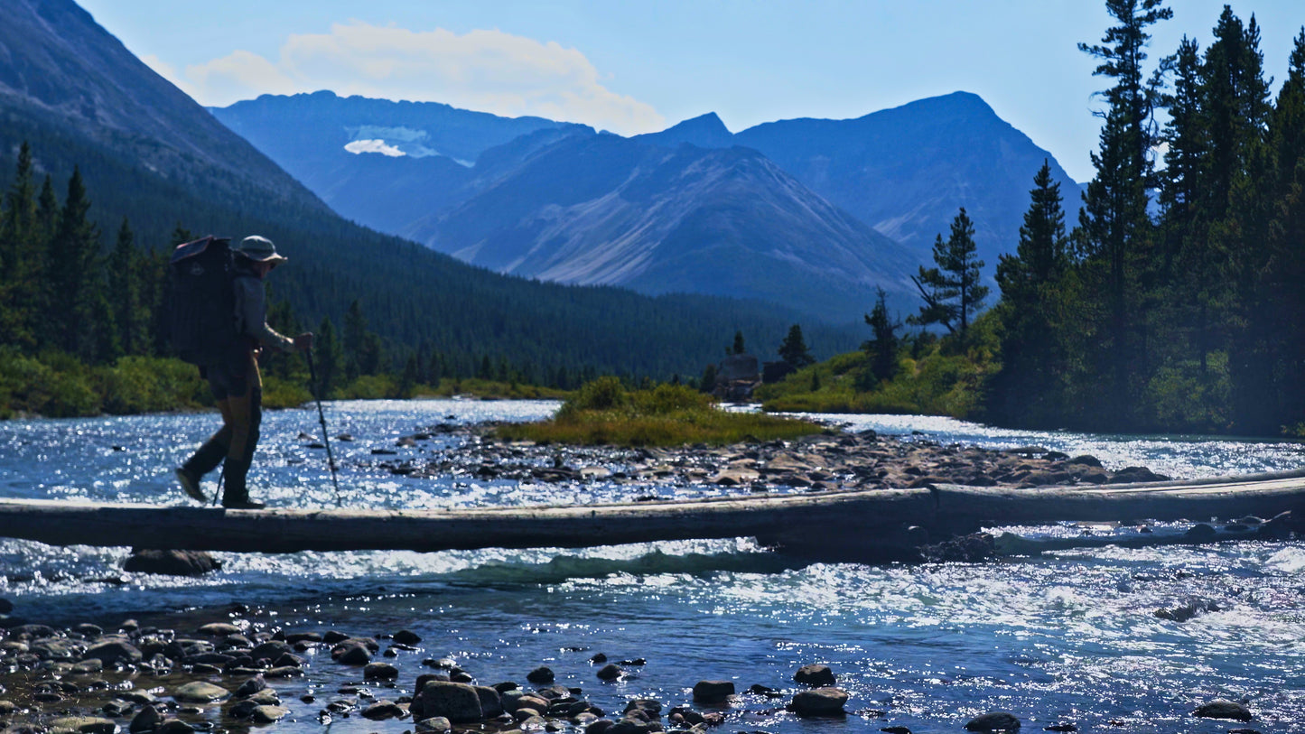 Stills: White Goat Wilderness