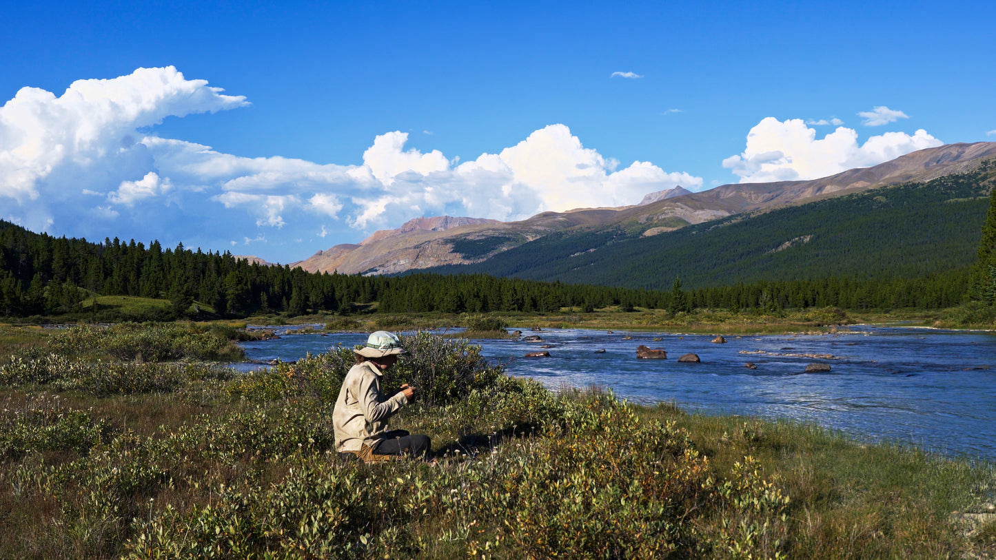 Stills: White Goat Wilderness