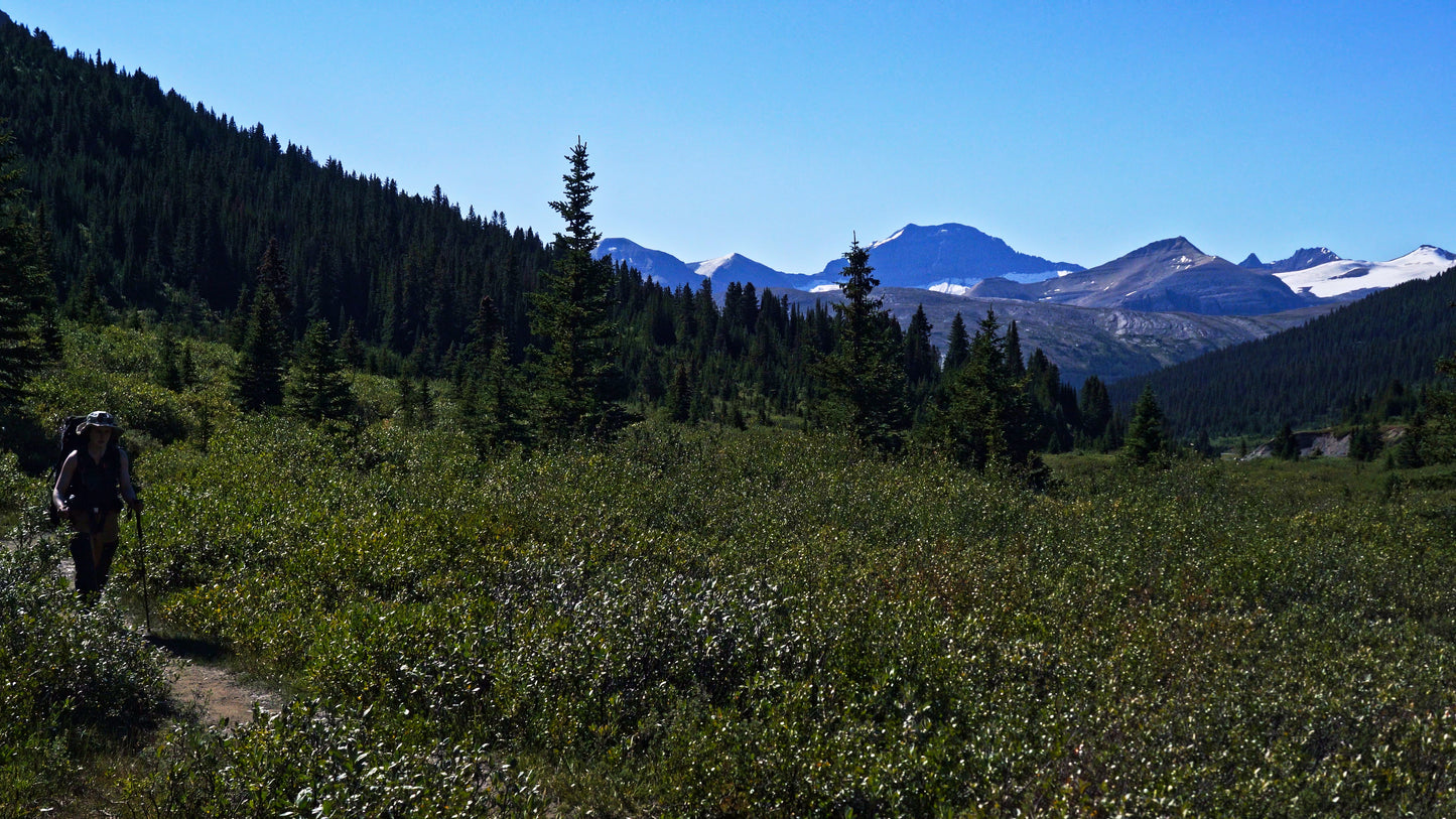 Stills: White Goat Wilderness