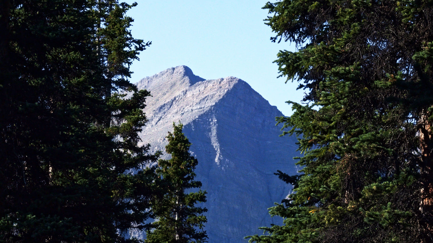 Stills: White Goat Wilderness