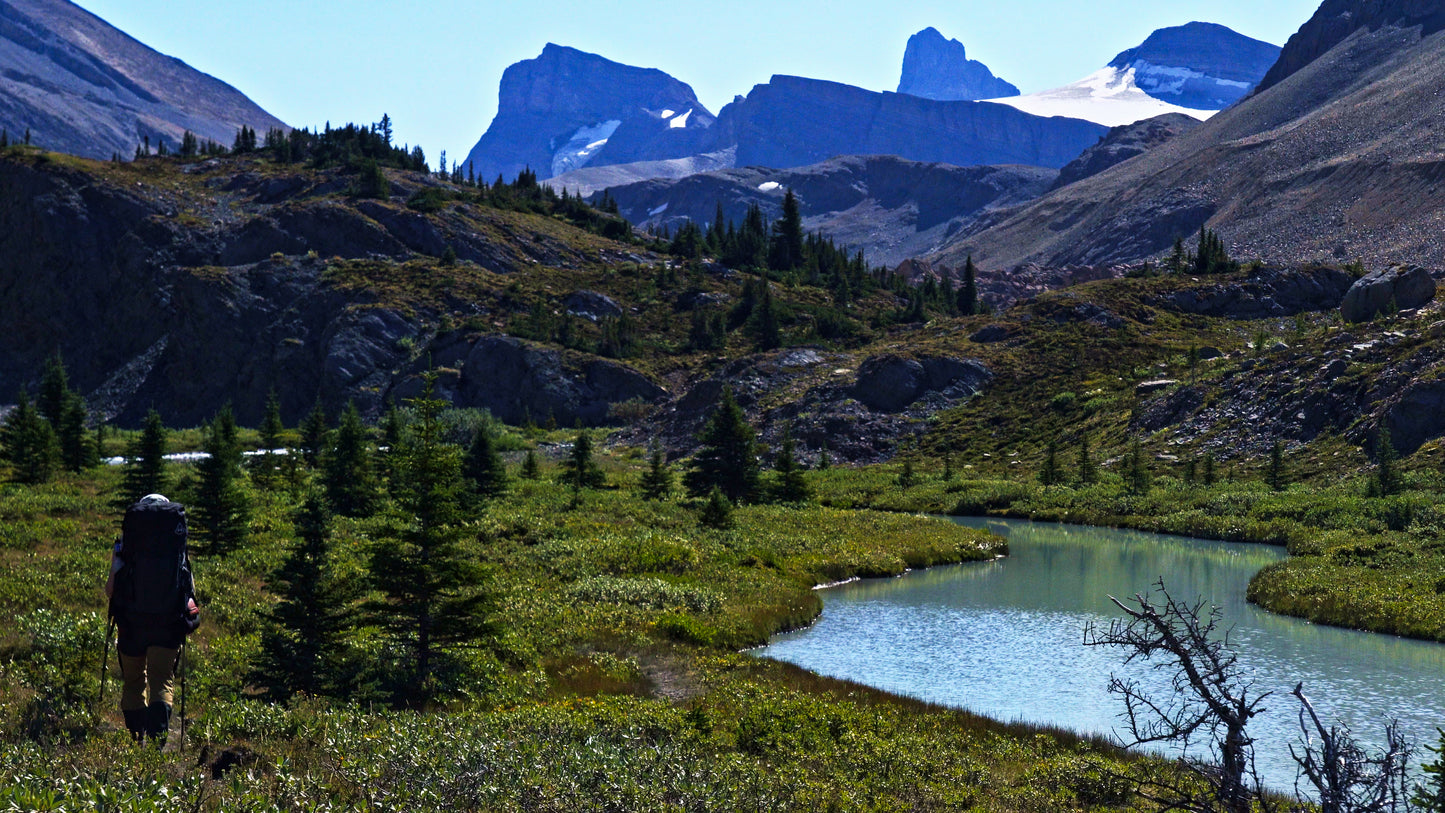 Stills: White Goat Wilderness