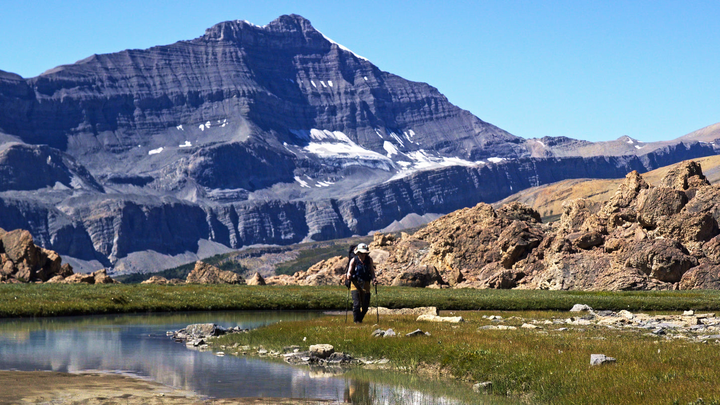 Stills: White Goat Wilderness