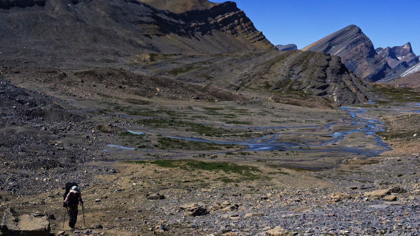 Stills: White Goat Wilderness