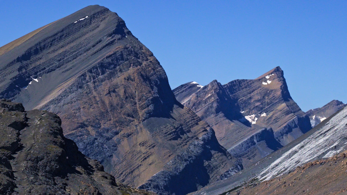 Stills: White Goat Wilderness