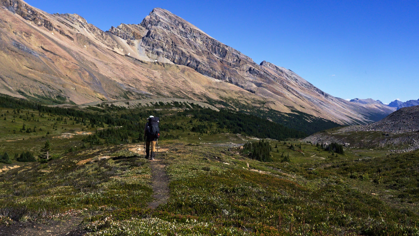 Stills: White Goat Wilderness