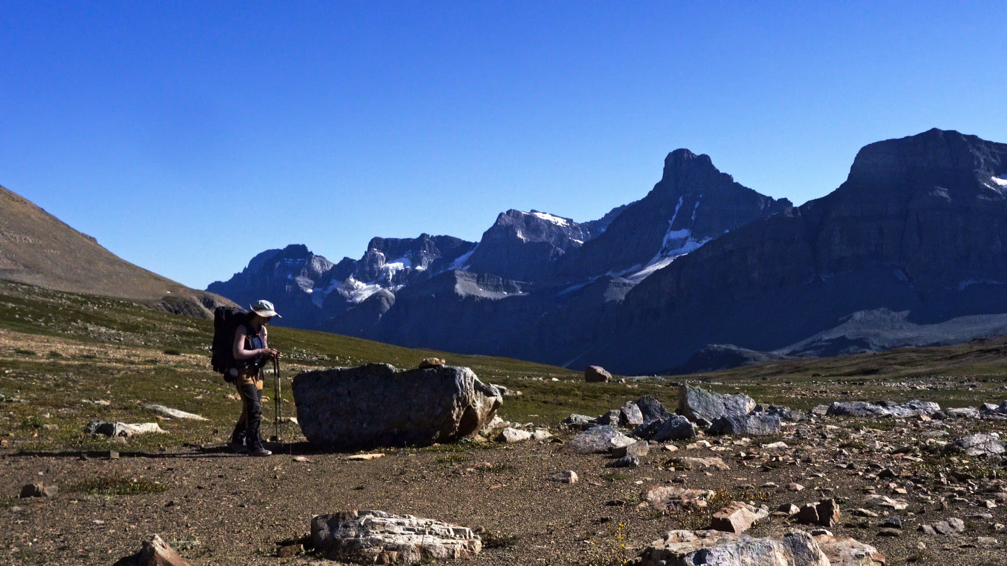 Stills: White Goat Wilderness