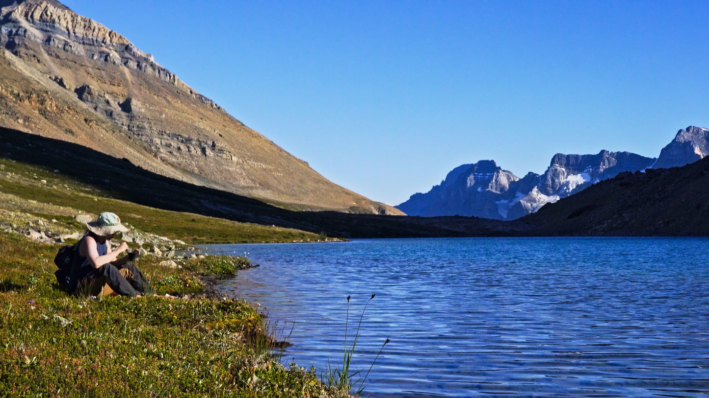 Stills: White Goat Wilderness
