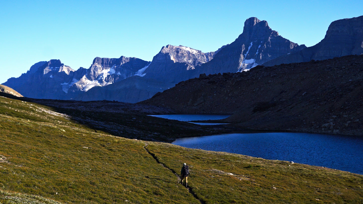 Stills: White Goat Wilderness