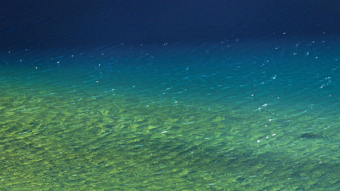 Stills: White Goat Wilderness