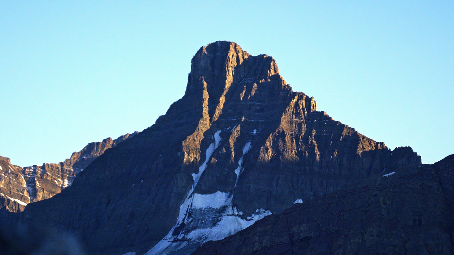 Stills: White Goat Wilderness