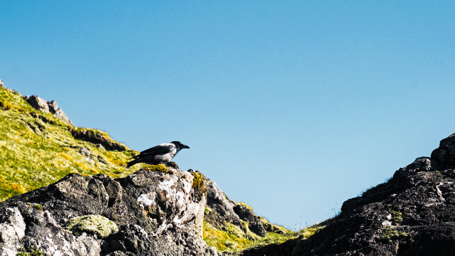 Stills: Isle of Skye
