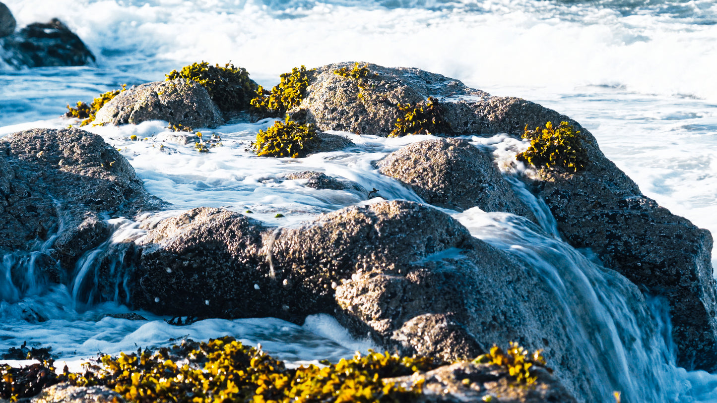 Stills: Isle of Skye