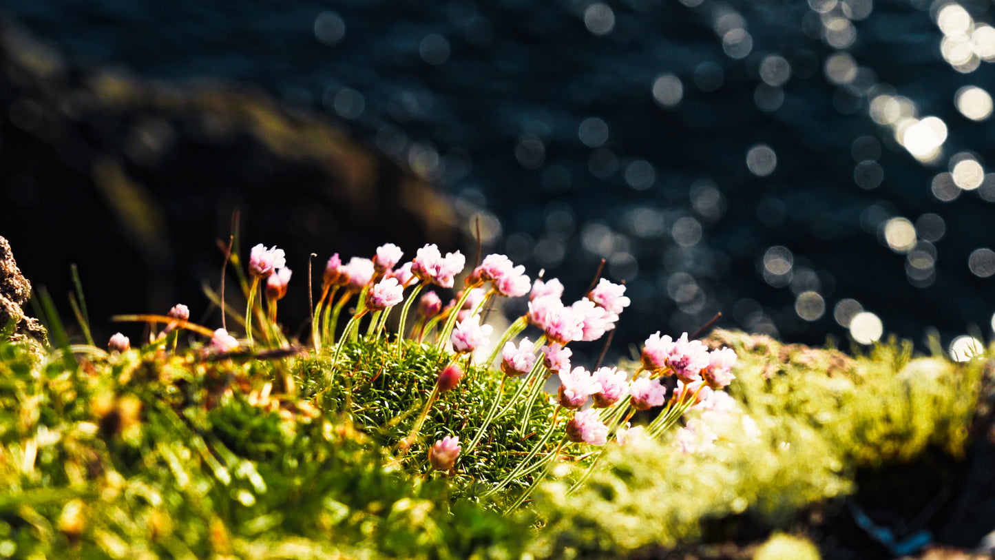 Stills: Isle of Skye