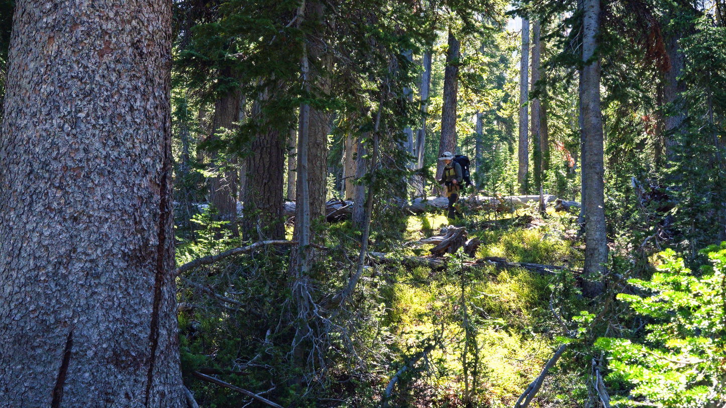 Stills: Sawtooth Wilderness