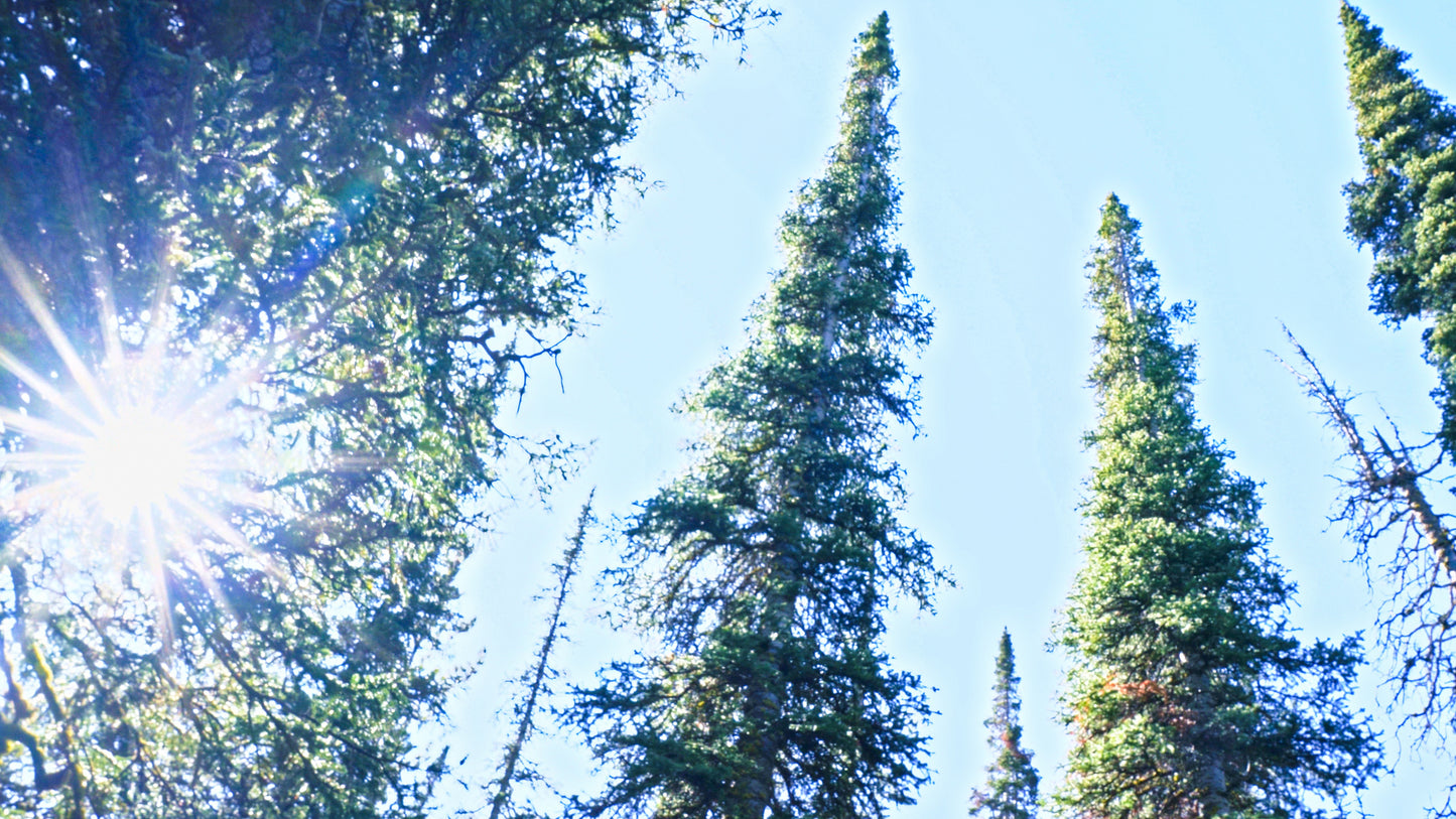 Stills: Sawtooth Wilderness