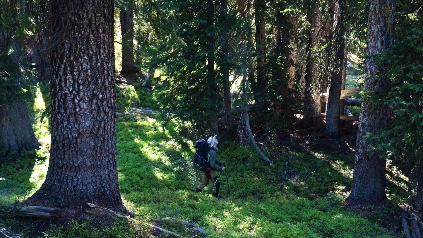 Stills: Sawtooth Wilderness