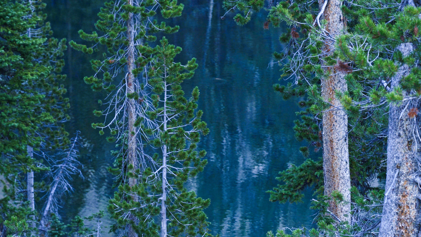 Stills: Sawtooth Wilderness