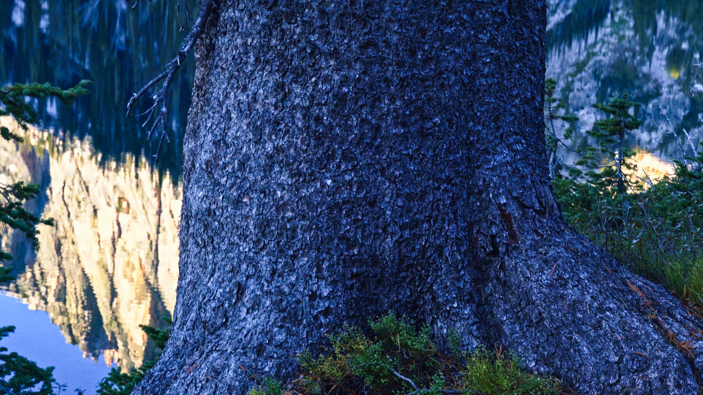 Stills: Sawtooth Wilderness