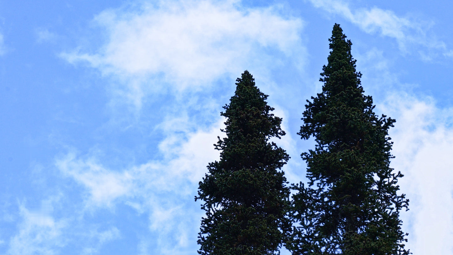 Stills: Sawtooth Wilderness