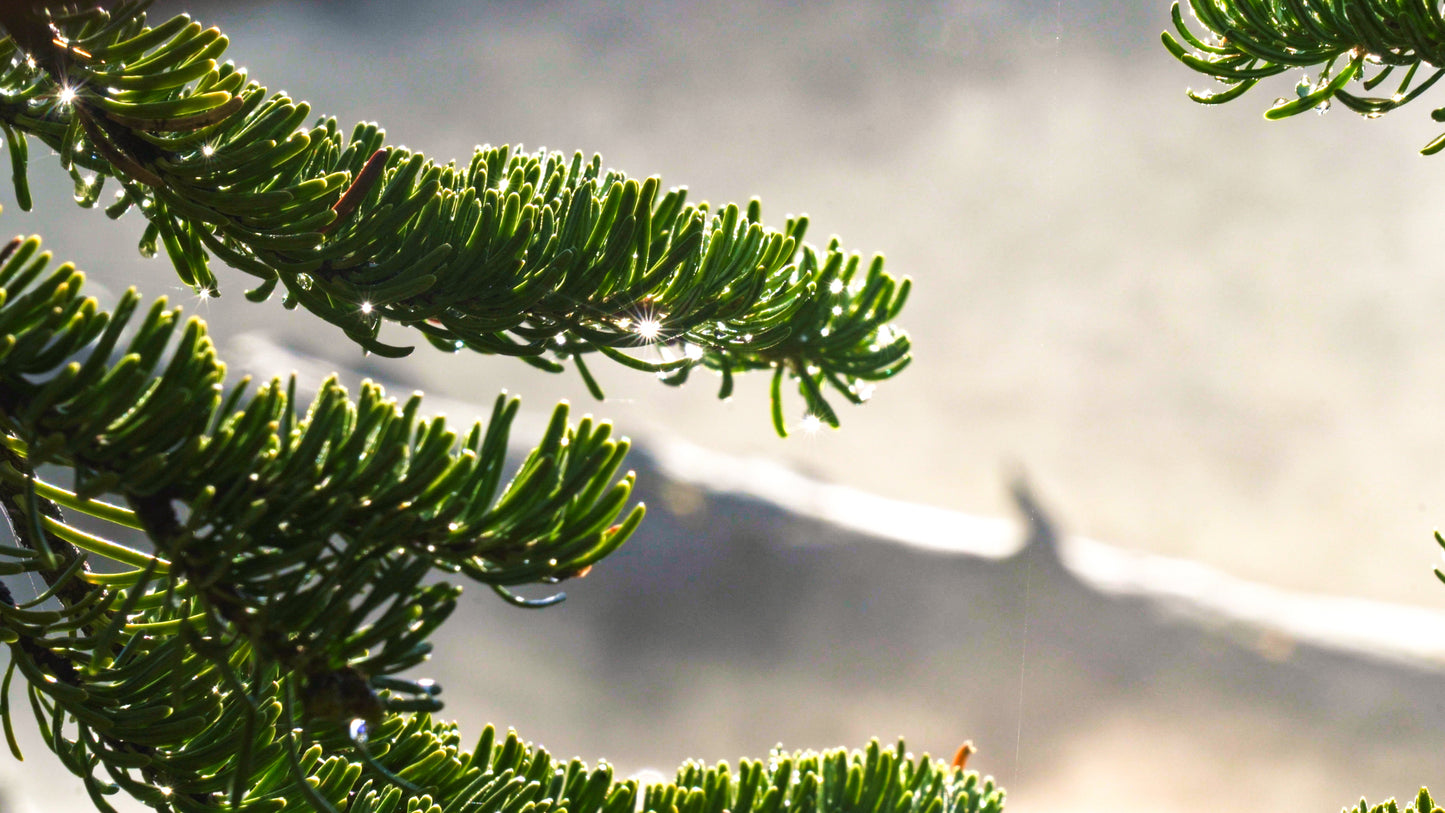 Stills: Sawtooth Wilderness
