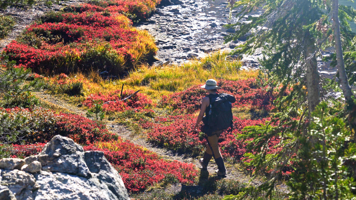 Stills: Sawtooth Wilderness