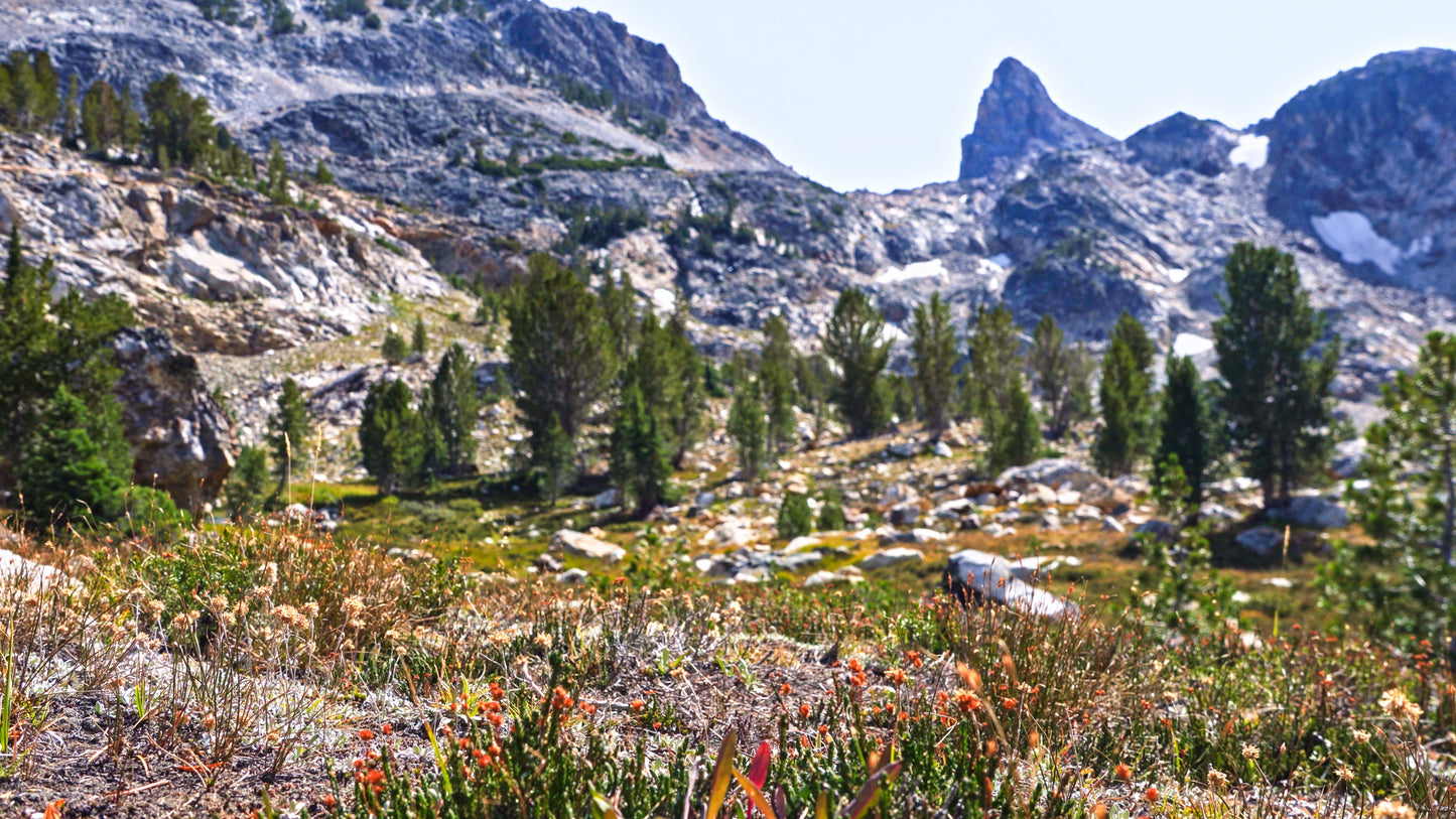 Stills: Sawtooth Wilderness