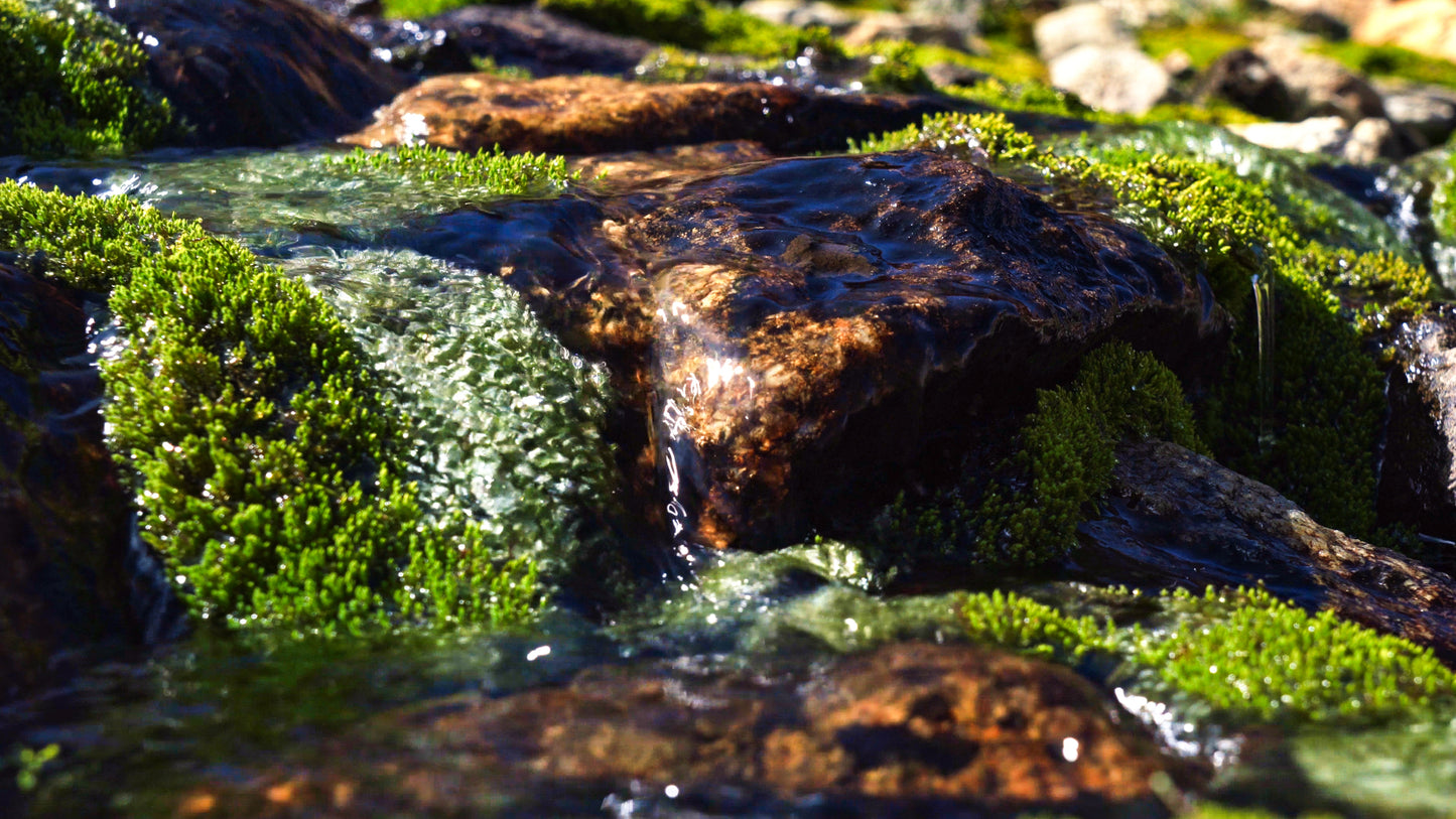 Stills: Sawtooth Wilderness